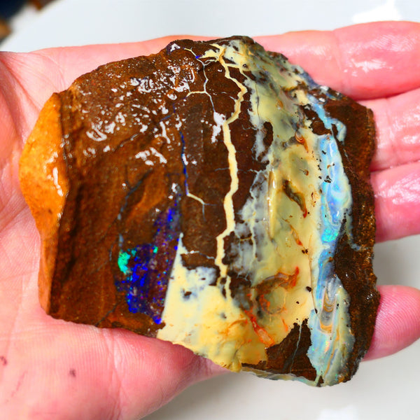 Queensland Boulder Quilpie Field Old School boulder opal large 800cts specimen with Bright colours Weekly Deal 1