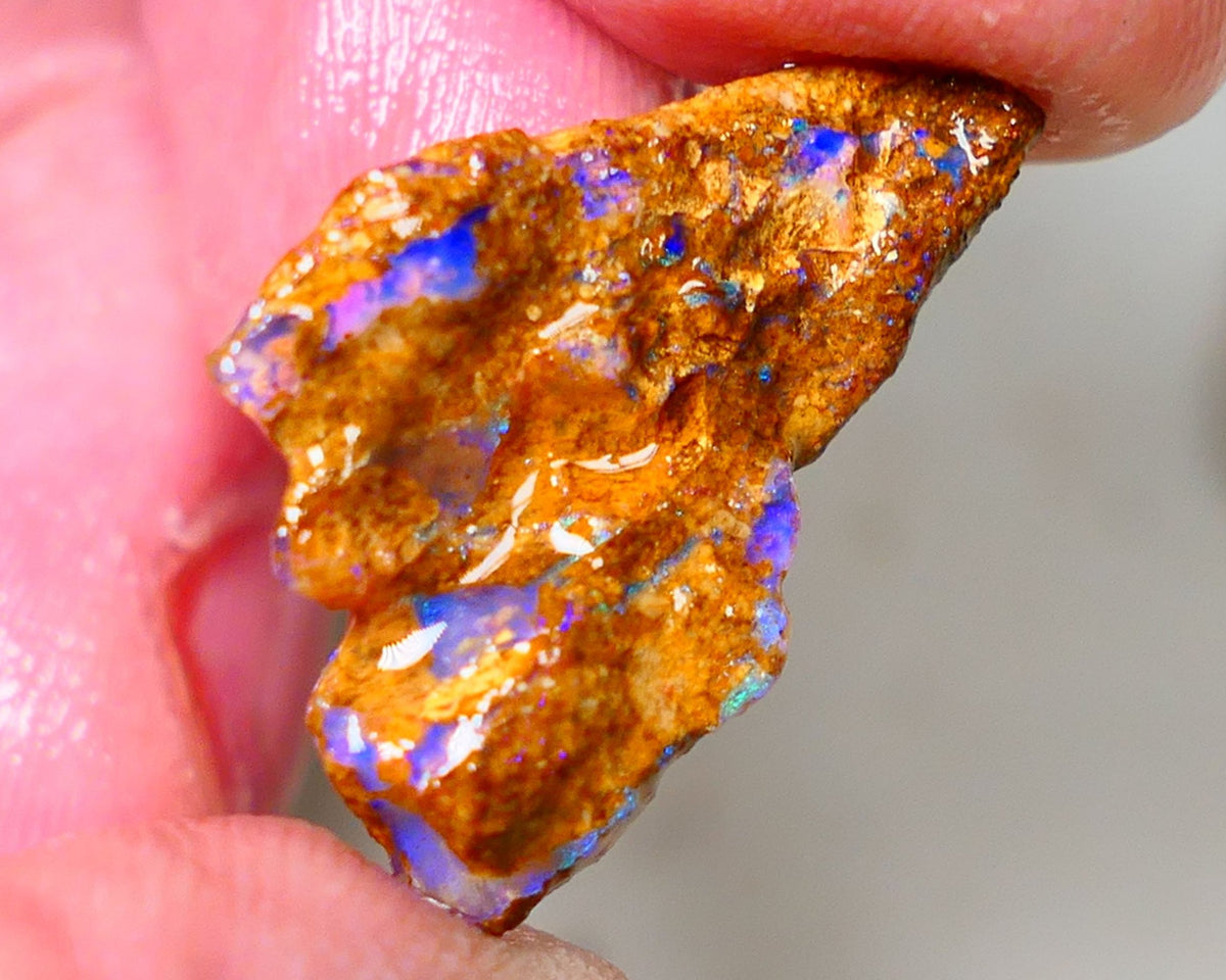 Queensland Sandy Ironstone Boulder opal nodule Showing lots of Bright Blue colours ALP0