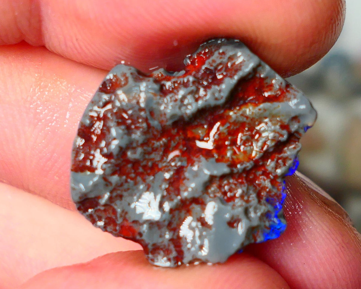 Lightning Ridge Knobby opal rough showing nice bright colours details to come 10.50cts 22x19x6mm ALP105