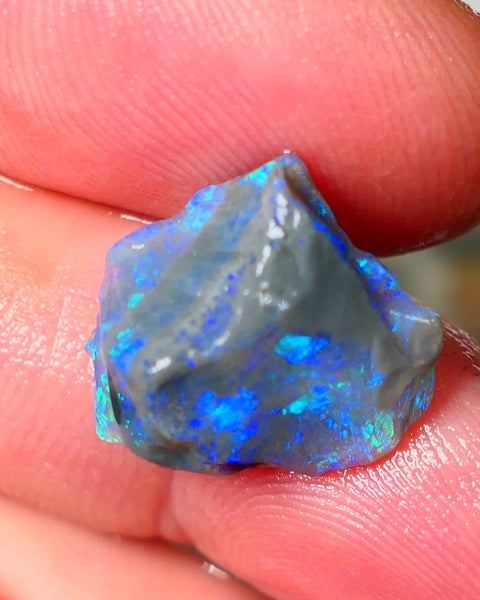 Lightning Ridge Knobby opal rough showing nice bright colours details to come 7.00cts 16x15x7mm ALP107