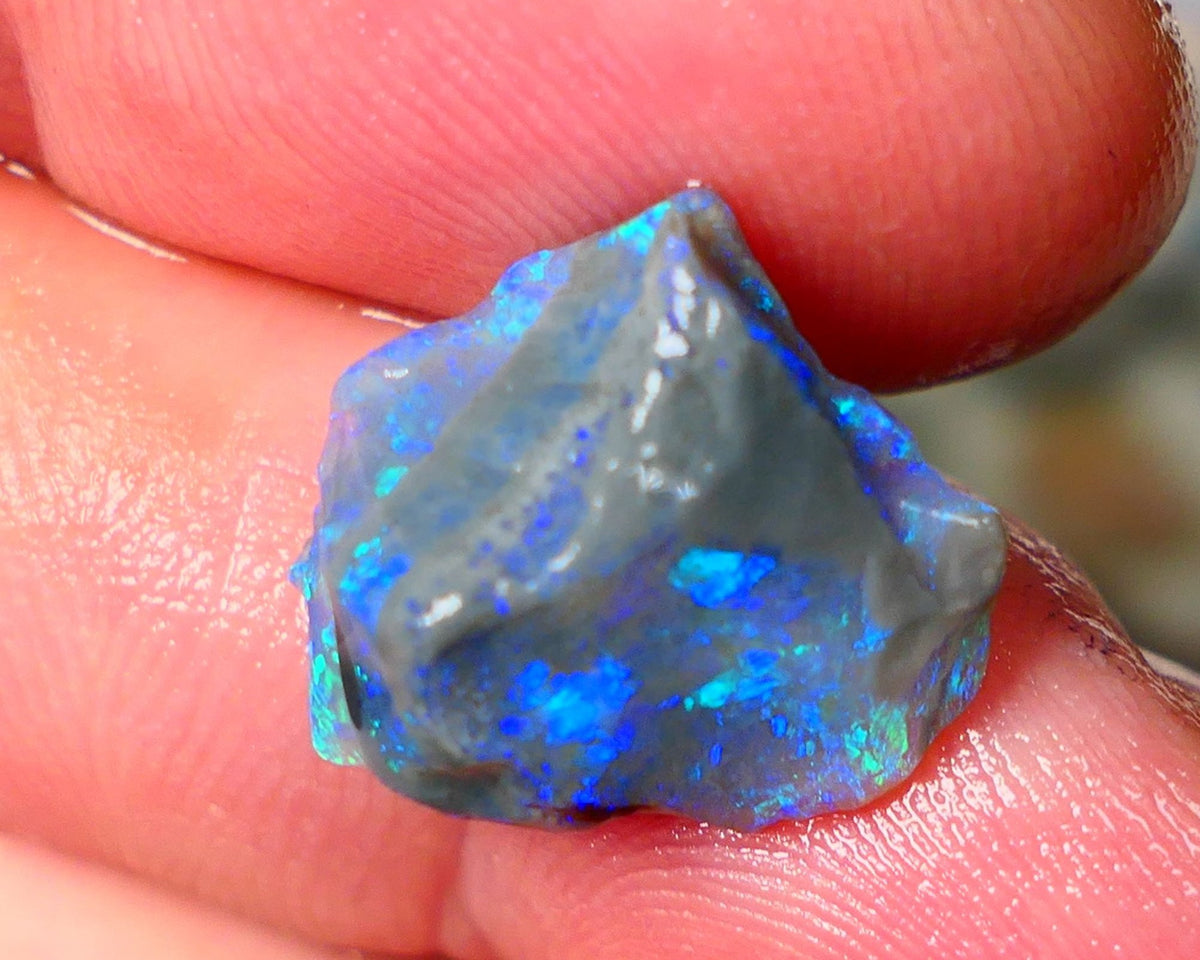 Lightning Ridge Knobby opal rough showing nice bright colours details to come 7.00cts 16x15x7mm ALP107