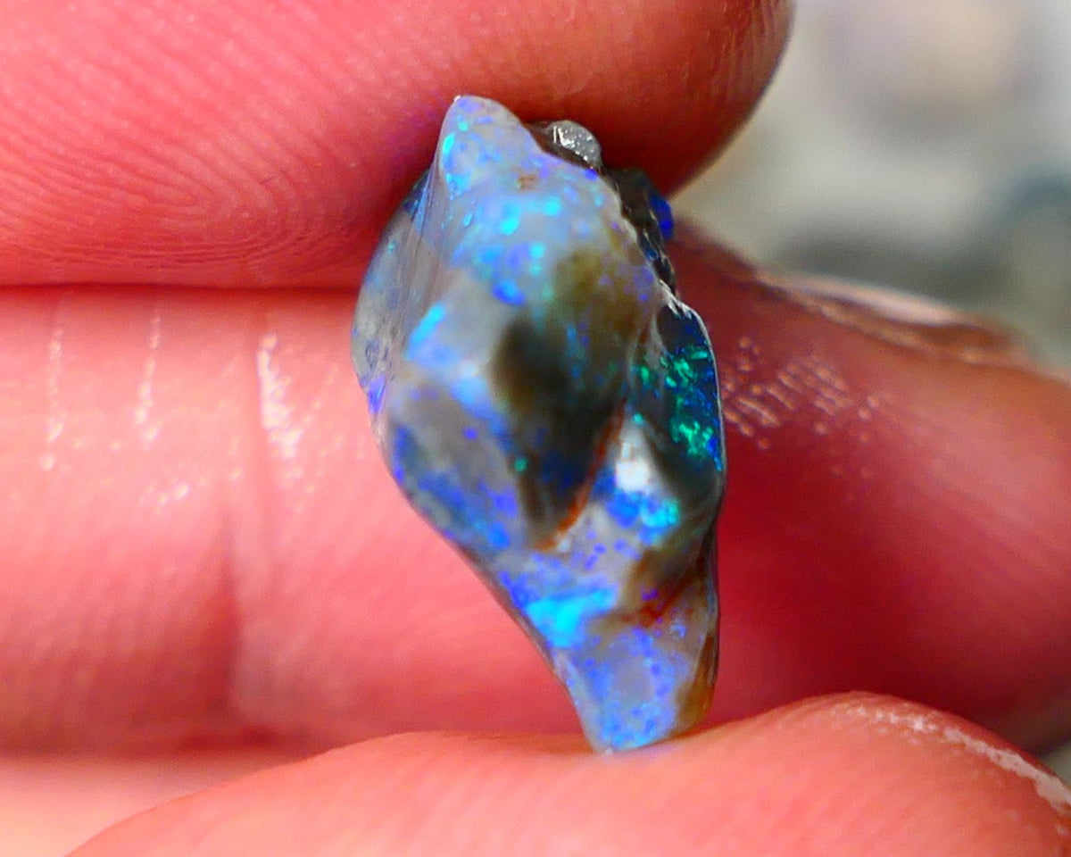 Lightning Ridge Knobby opal rough showing nice bright colours details to come 7.00cts 16x15x7mm ALP107