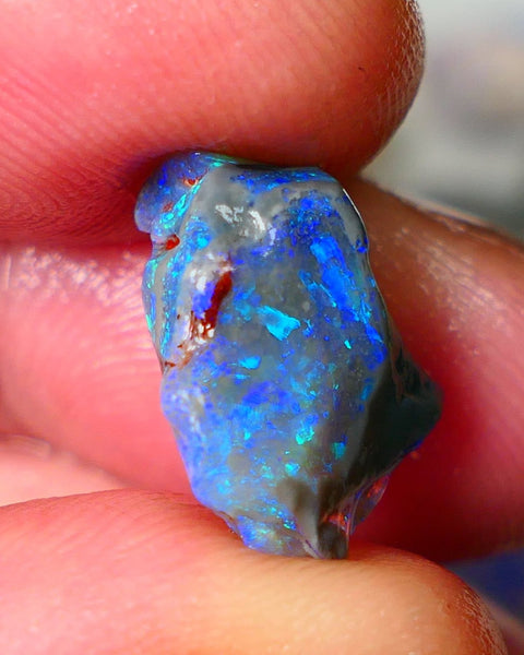 Lightning Ridge Knobby opal rough showing nice bright colours details to come 7.00cts 16x15x7mm ALP107