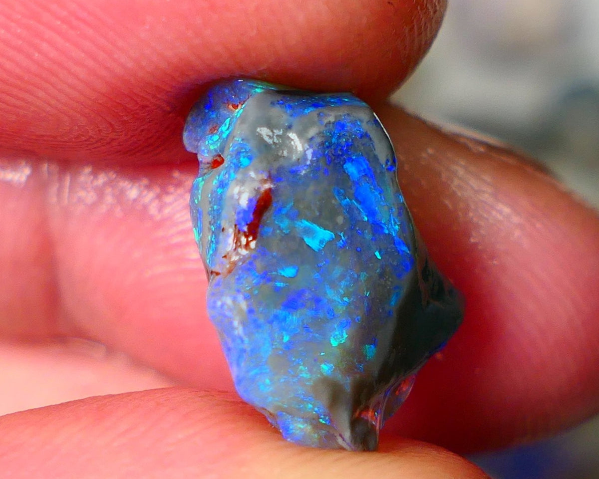 Lightning Ridge Knobby opal rough showing nice bright colours details to come 7.00cts 16x15x7mm ALP107