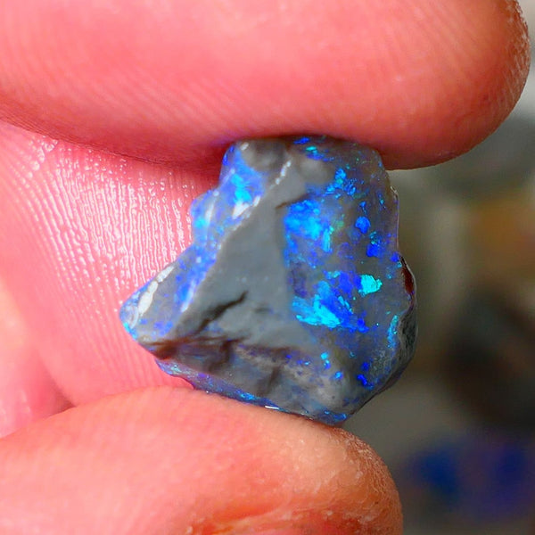 Lightning Ridge Knobby opal rough showing nice bright colours details to come 7.00cts 16x15x7mm ALP107