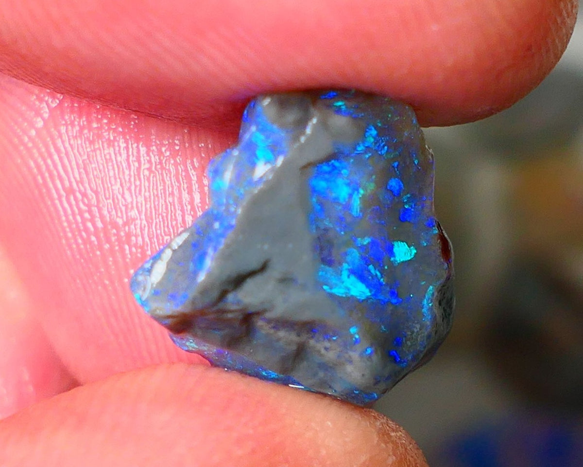 Lightning Ridge Knobby opal rough showing nice bright colours details to come 7.00cts 16x15x7mm ALP107