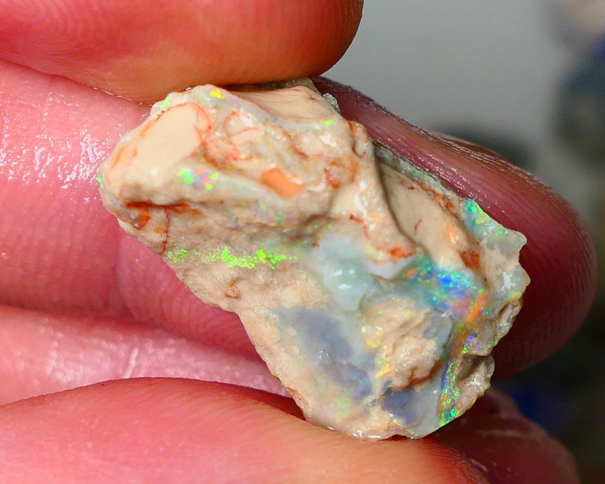 Lightning Ridge Seam opal formation rough showing nice bright Multi colours 11.00cts 23x15x7mm  ALP110