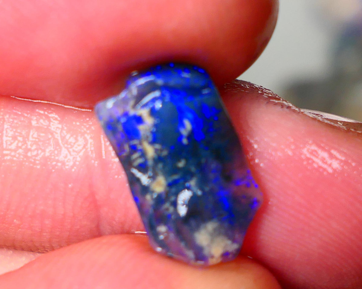 Lightning Ridge Black Crystal Opalised Wood Fossil 2.50cts gorgeous bright blue fires 15x8x3mm Auction27