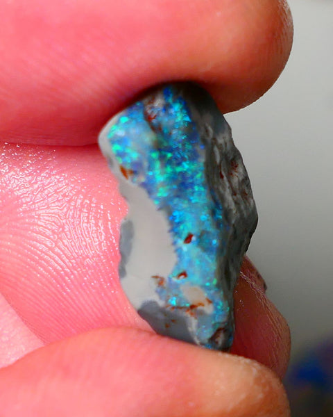 Lightning Ridge Dark base Seam opal 5.50cts showing Blue/Green colours to gamble 21x9x5mm AUCTION29