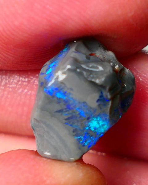 Lightning Ridge Seam opal rough showing nice bright colours details to come 6.50cts 18x13x7mm ALP109