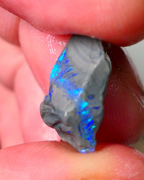 Lightning Ridge Seam opal rough showing nice bright colours details to come 6.50cts 18x13x7mm ALP109