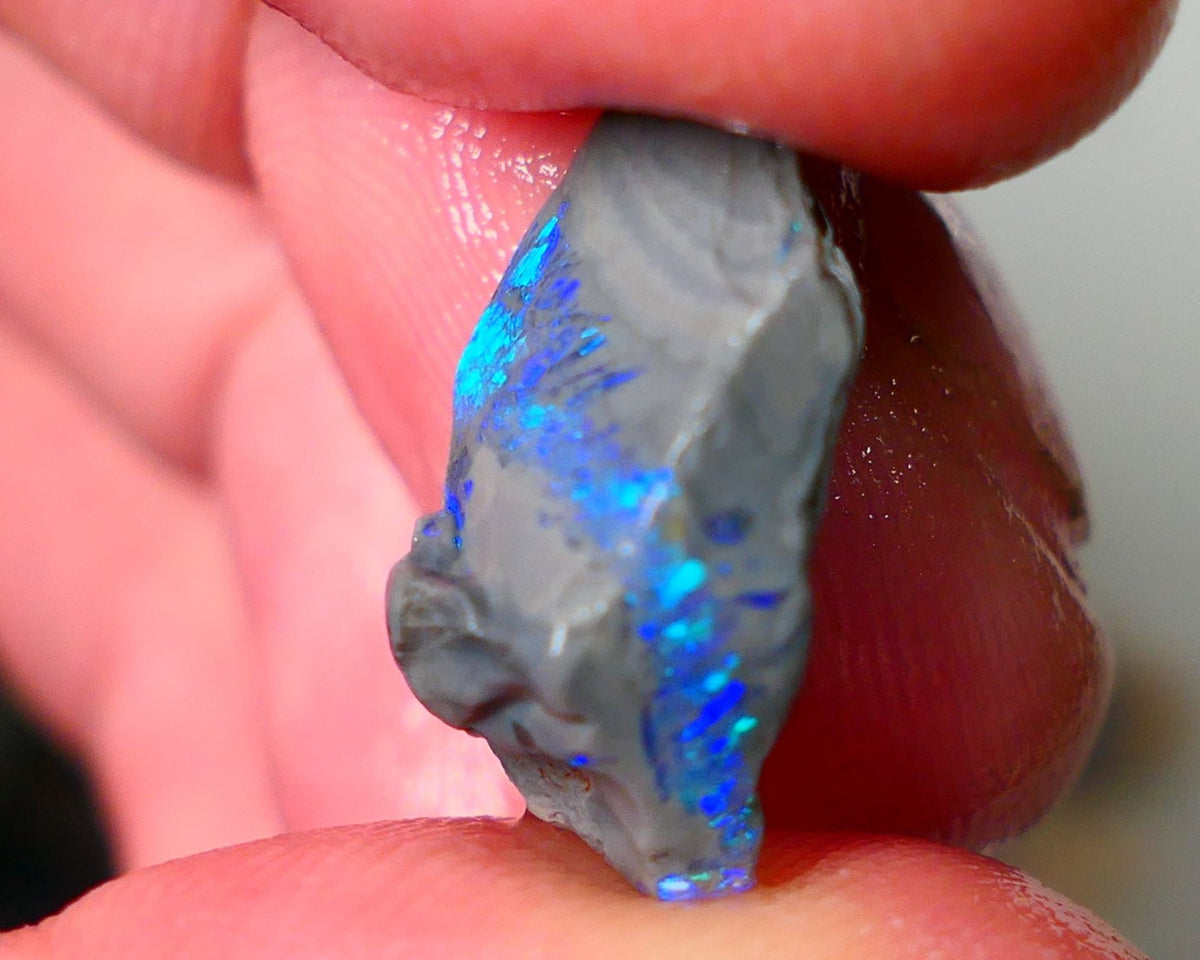 Lightning Ridge Seam opal rough showing nice bright colours details to come 6.50cts 18x13x7mm ALP109