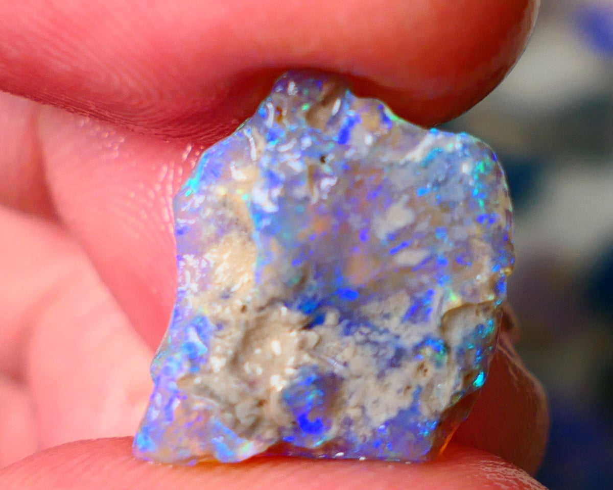 Lightning Ridge Knobby opal rough showing nice bright colours details to come 5.00cts 17x13x4mm ALP104