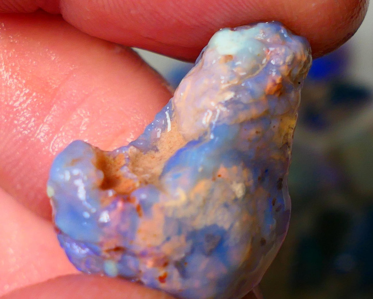 Lightning Ridge Knobby opal rough showing nice bright colours details to come 22.00cts 26x20x10mm  ALP102