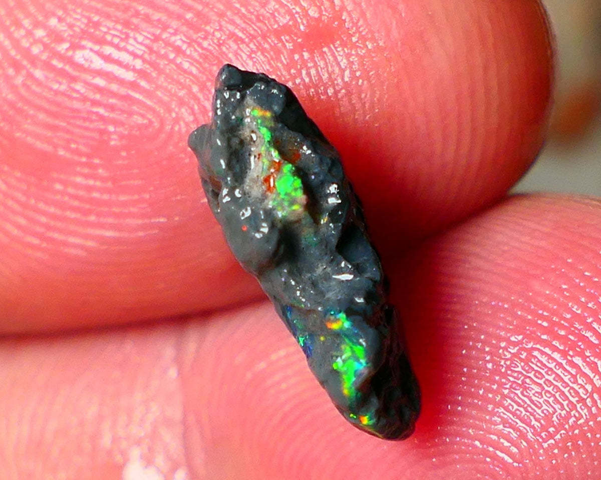 Lightning Ridge N1 Black knobby opal rough piece 3.50cts Check the video showing Nice bars with Bright Multi colours and flashes of the illusive reds 15x11x5mm  ALP125