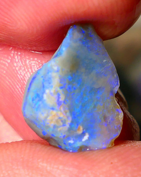 Lightning Ridge Seam opal rough 5.50cts showing nice bright blue colours 17x10x4mm ALP124