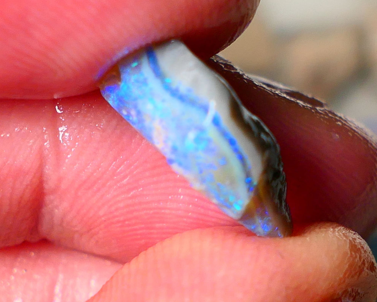 Lightning Ridge Seam opal rough 5.50cts showing nice bright blue colours 17x10x4mm ALP124