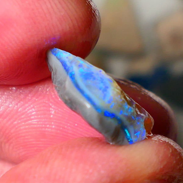 Lightning Ridge Seam opal rough 5.50cts showing nice bright blue colours 17x10x4mm ALP124