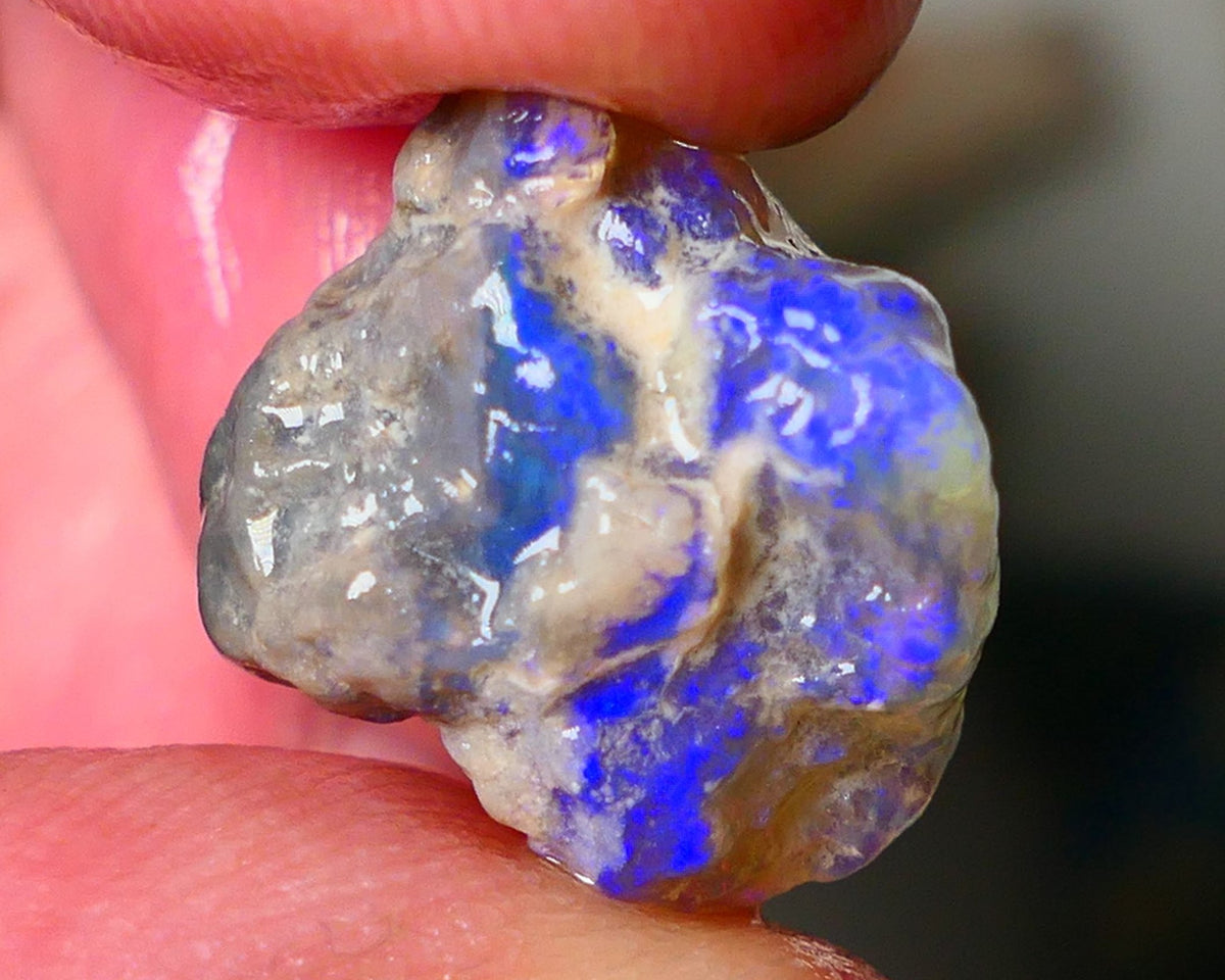 Lightning Ridge Dark Crystal Knobby opal formation rough showing nice bright blue colours 12.50cts 18x14x10mm ALP123