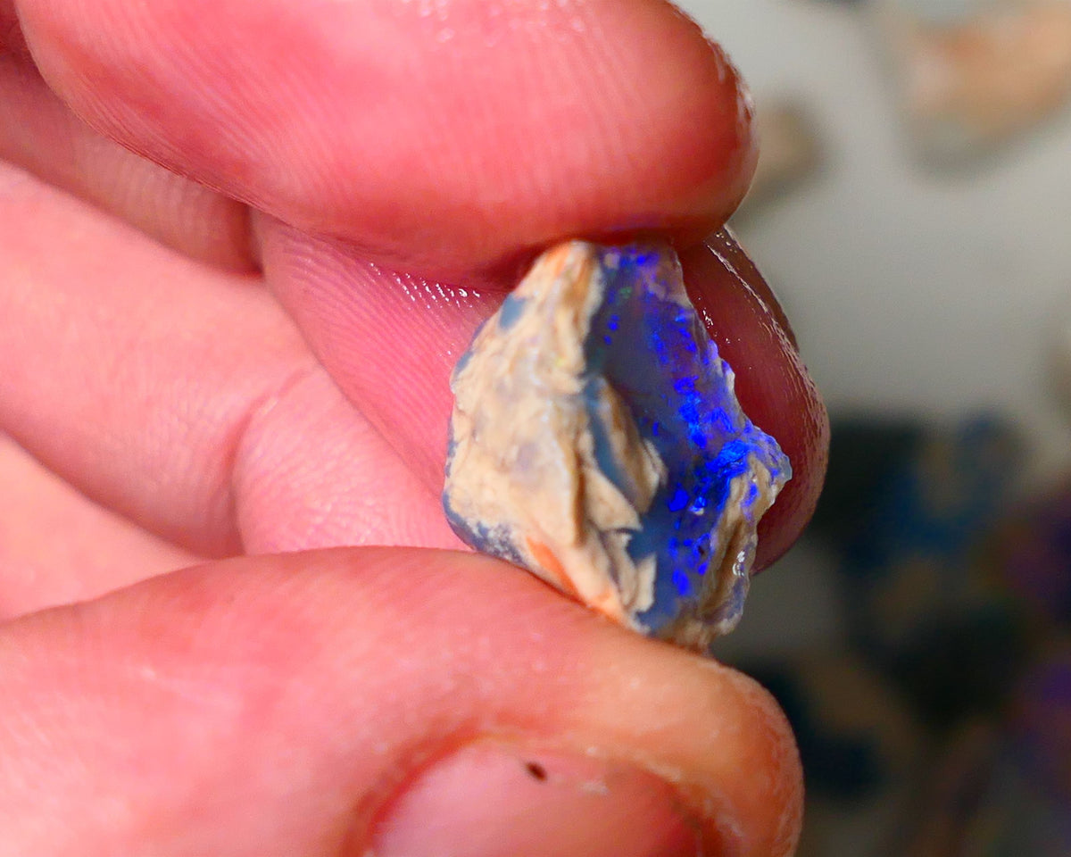 Lightning Ridge Knobby opal formation rough showing nice bright blue colours 7.25cts 16x10x9mm ALP122