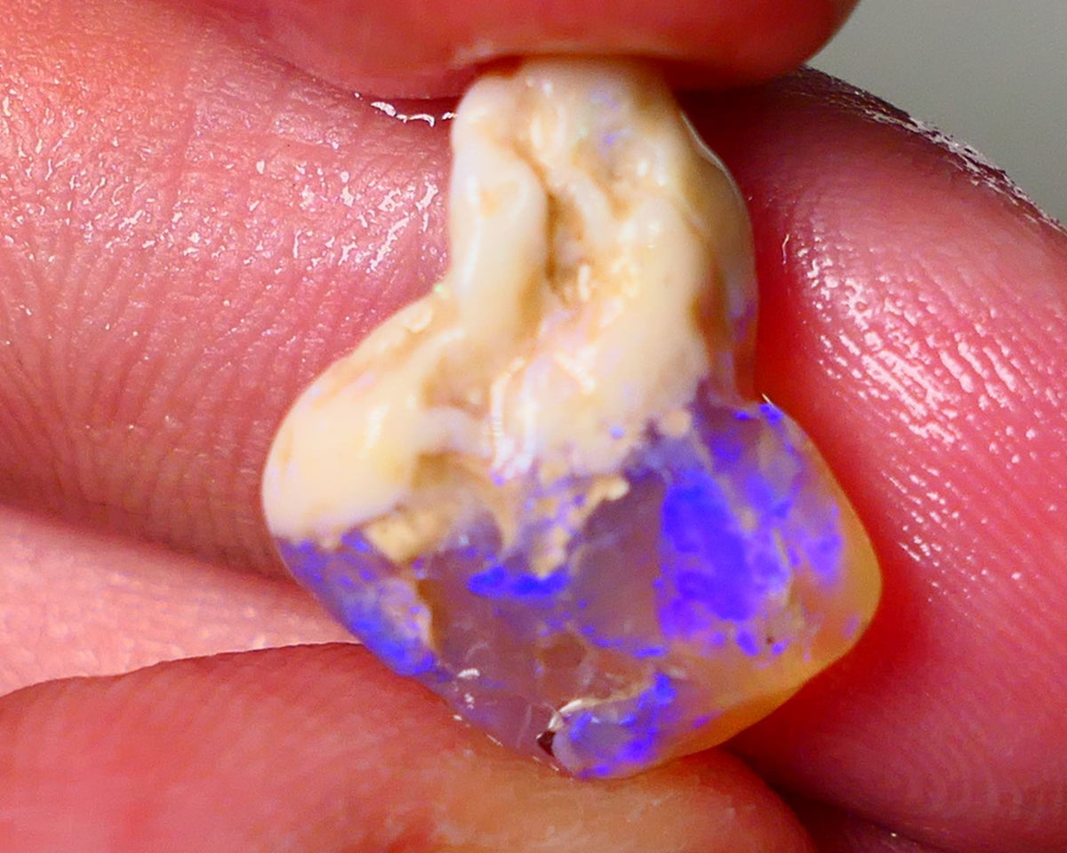 Lightning Ridge Knobby opal formation rough showing nice bright blue colours 8.50cts 18x13x9mm ALP119