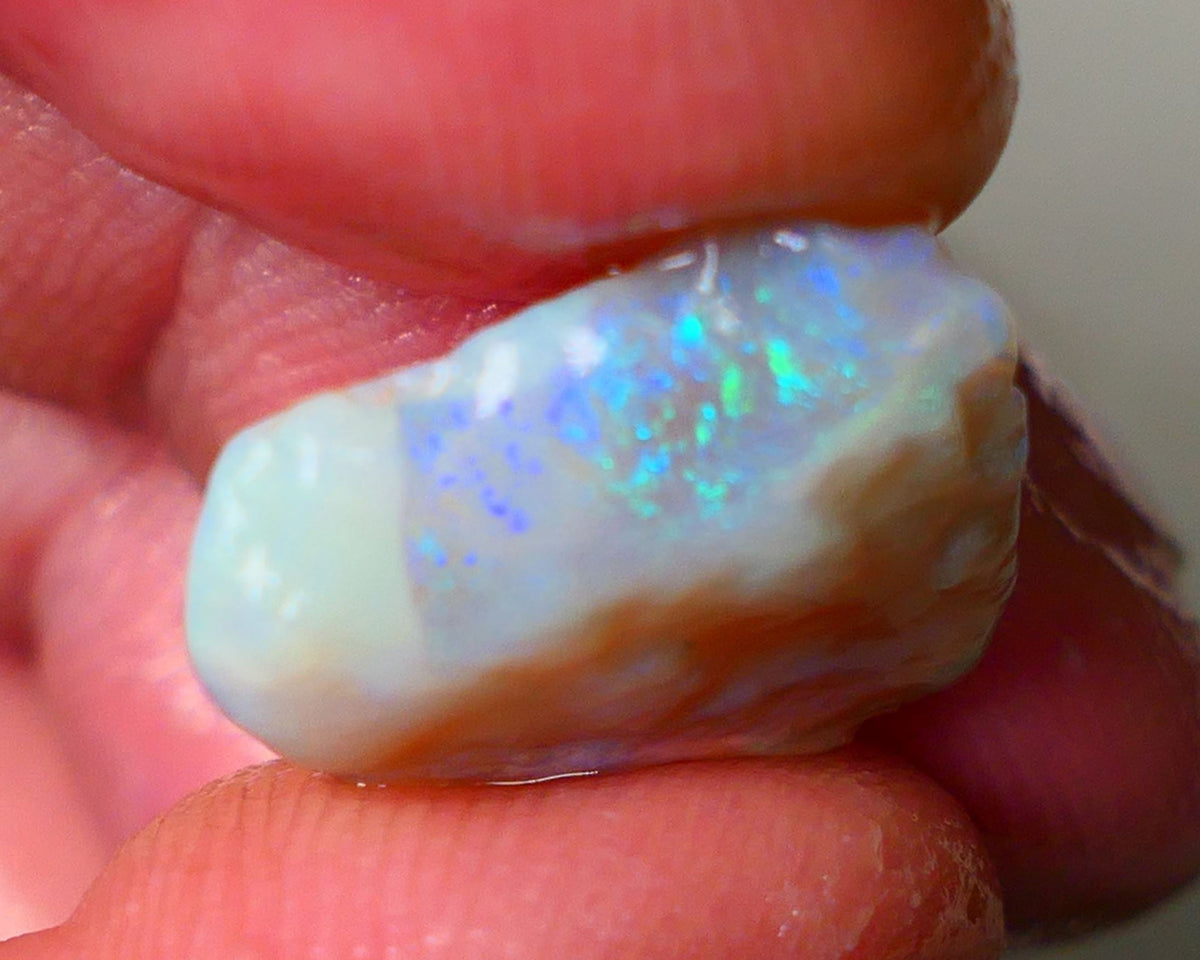 Lightning Ridge Dark Crystal Seam opal rough 7.25cts showing Gemmy bright bar with multi colours to cut worth a gamble on this one cut a gem 16x14x5mm ALP118