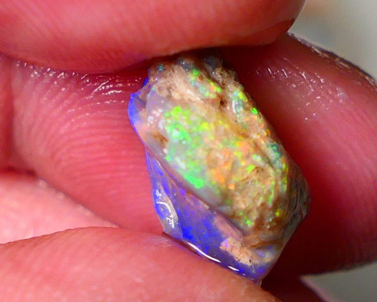 Lightning Ridge Gamble Knobby opal rough showing Very bright Multi colours 6.00cts 16x11x7mm  ALP114