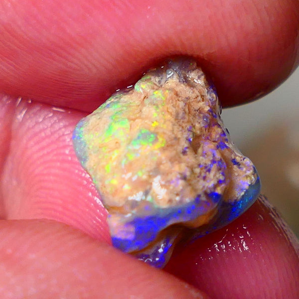 Lightning Ridge Gamble Knobby opal rough showing Very bright Multi colours 6.00cts 16x11x7mm  ALP114