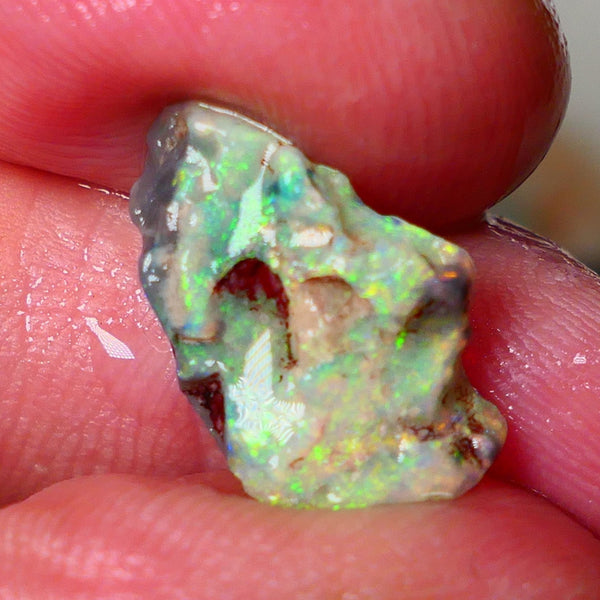 Lightning Ridge Gamble opal rough showing nice bright colours  3.50cts 18x11x4mm ALP111