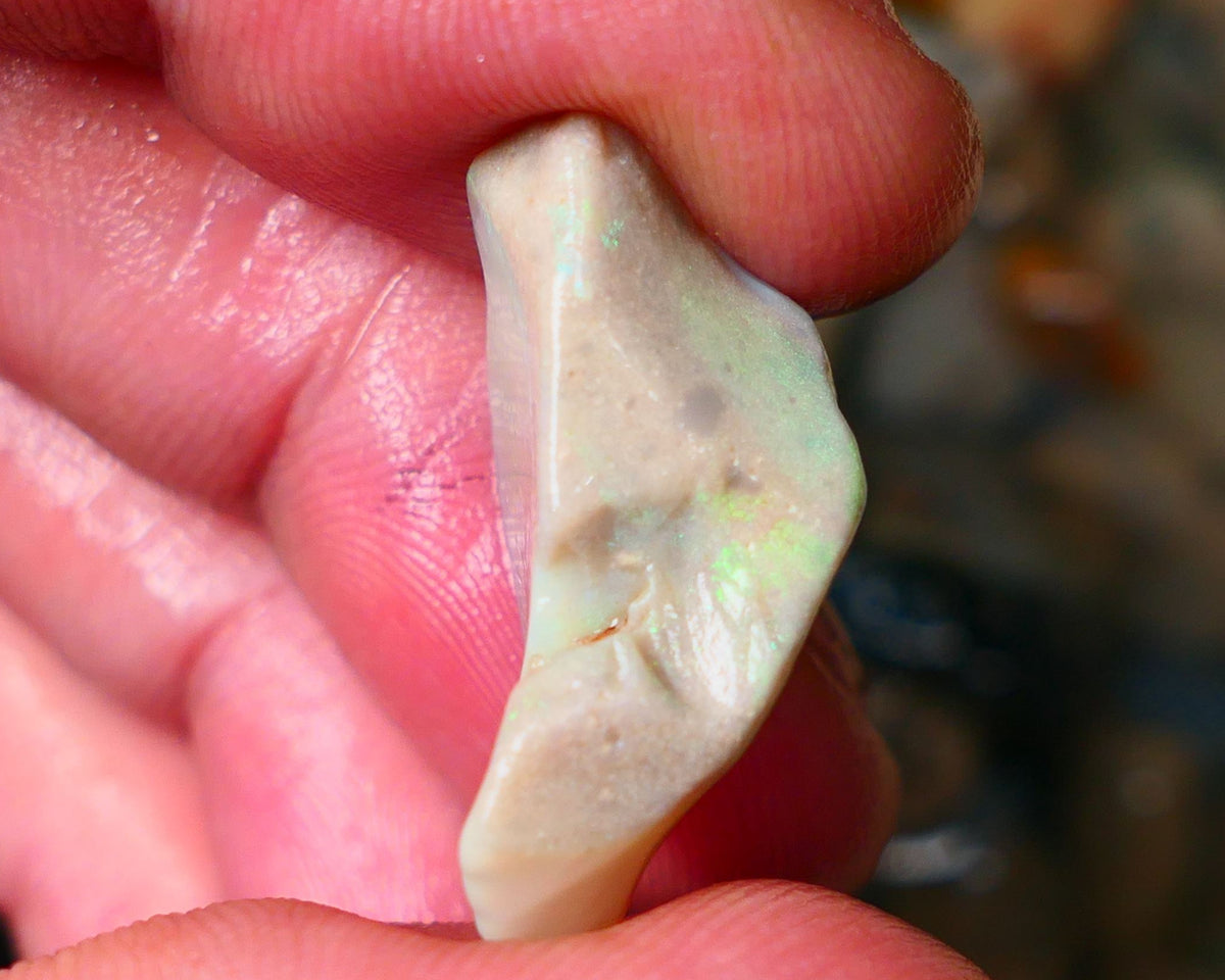 Lightning Ridge Grey base Seam opal 16.00cts showing Mostly Green colours to gamble 26x12x10mm Auction25