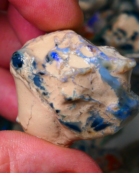 Lightning Ridge Gamble Monster sized 190cts Knobby opal rough showing some colours 37x33x30mm ALP127