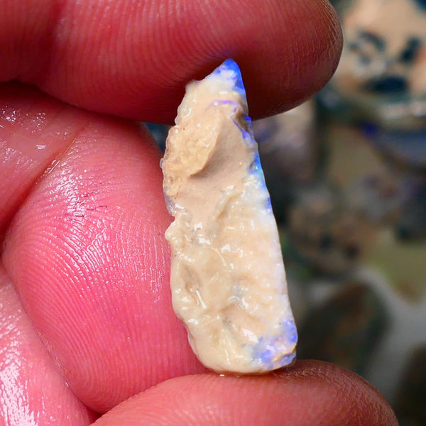 Lightning Ridge Gamble opal rough rub showing nice bright blue colours 26x10x7mm ALP128