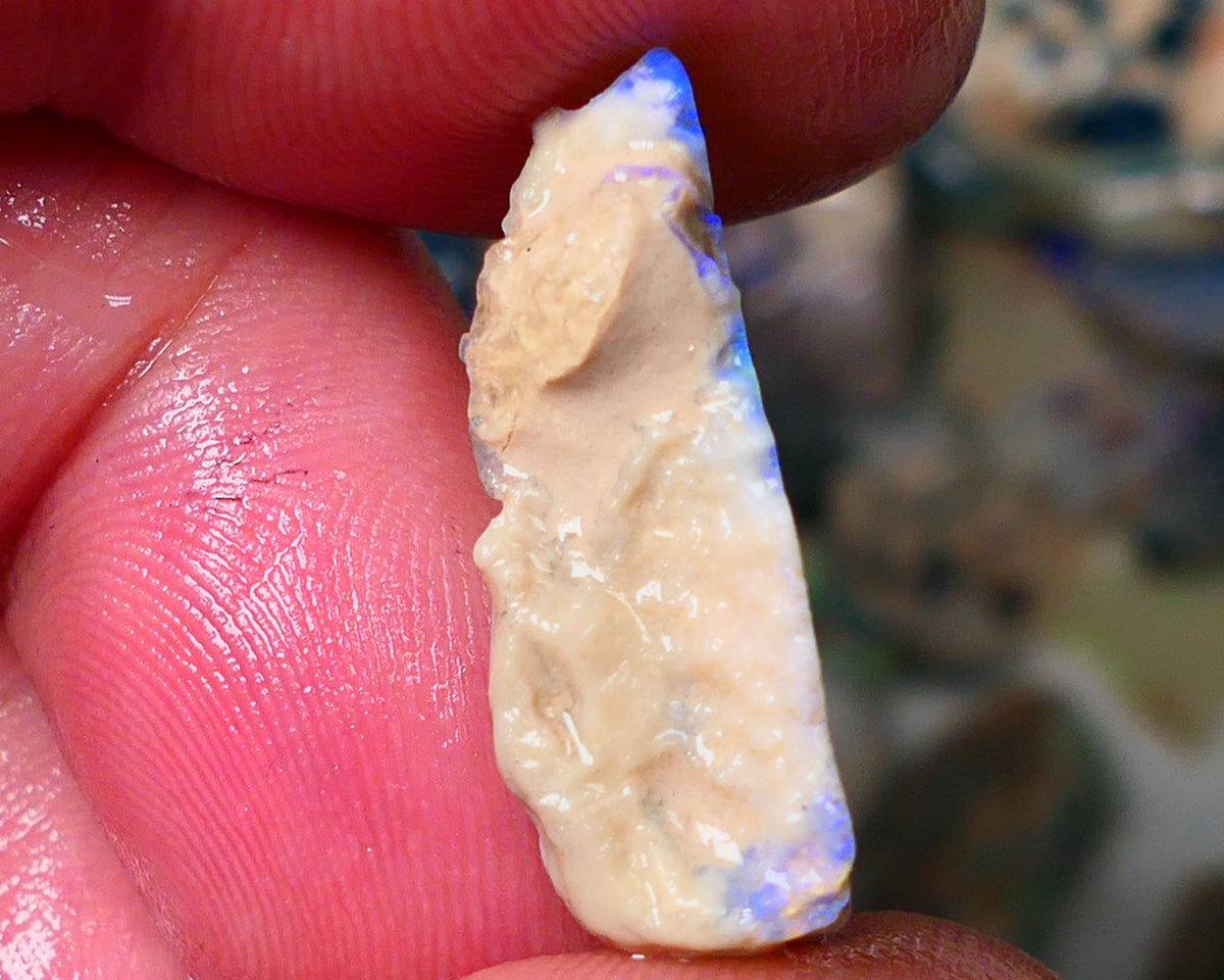 Lightning Ridge Gamble opal rough rub showing nice bright blue colours 26x10x7mm ALP128