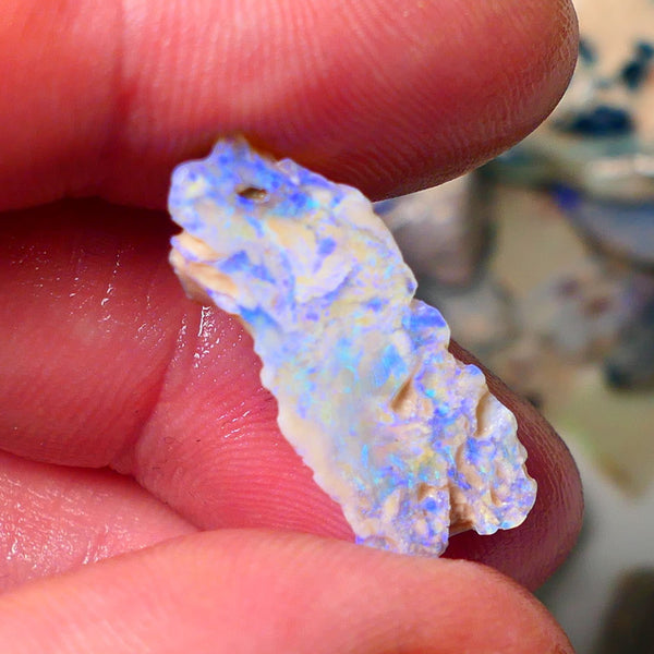 Lightning Ridge Gamble opal rough rub showing nice bright blue colours 26x10x7mm ALP128