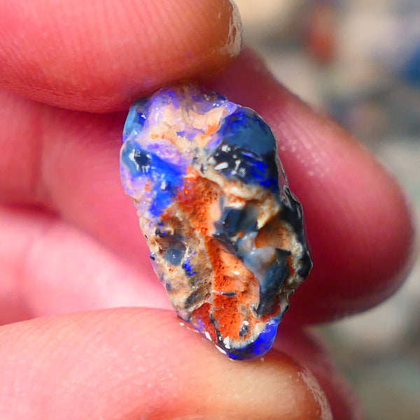 Lightning Ridge Gamble knobby opal rough showing nice bright Blue colours 17x13x9mm ALP130