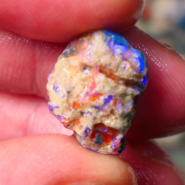 Lightning Ridge Gamble knobby opal rough showing nice bright Blue colours 17x13x9mm ALP130