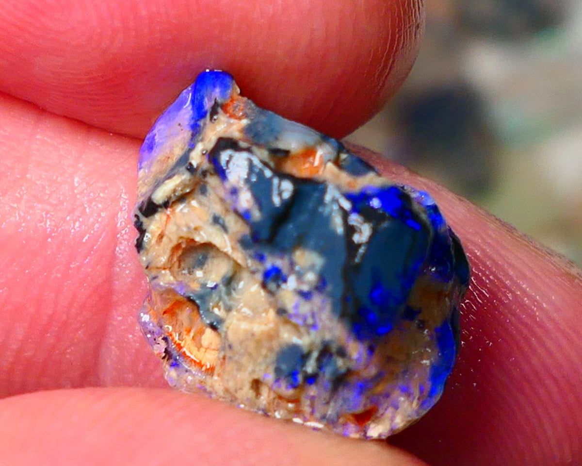 Lightning Ridge Gamble knobby opal rough showing nice bright Blue colours 17x13x9mm ALP130