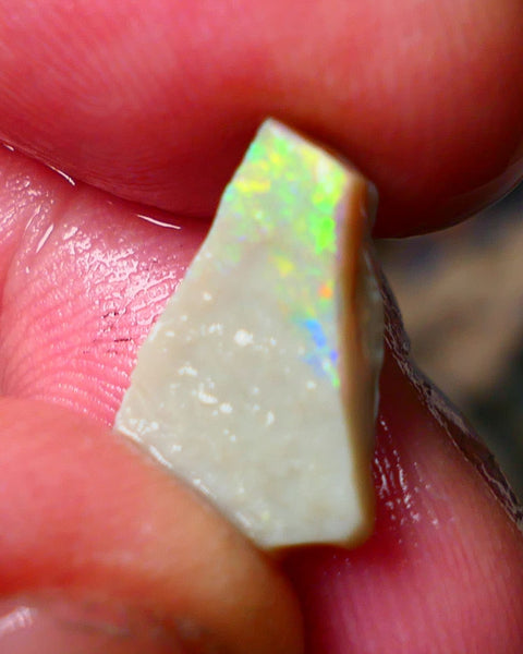 Lightning Ridge Gamble Seam opal rough 3.25cts Displaying  Vibrant & bright Multi colours 15x10x3mm ALP132