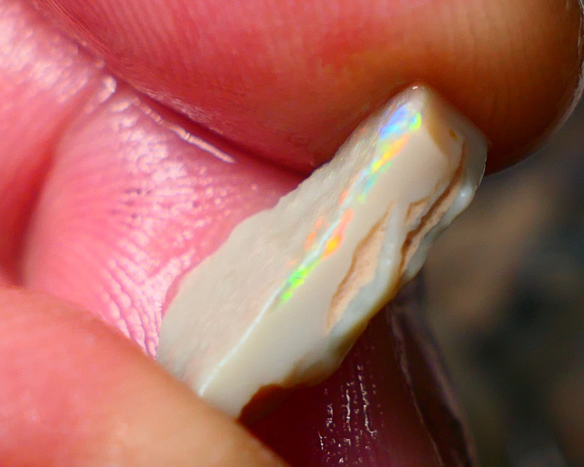 Lightning Ridge Gamble Seam opal rough 3.25cts Displaying  Vibrant & bright Multi colours 15x10x3mm ALP132