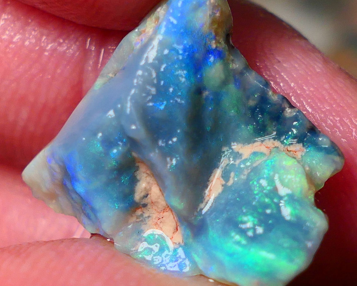 Lightning Ridge Gamble Dark base opal rough 9.75cts showing nice bright colours 18x17x8mm ALP134