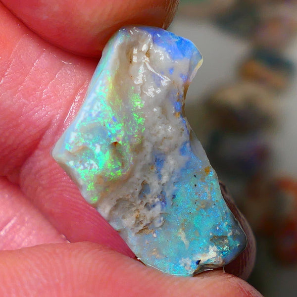 Lightning Ridge Gamble opal rough 11.50cts showing nice bright Multi colours 24x17x7mm ALP136