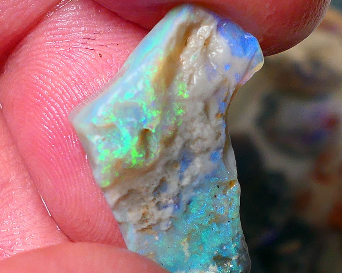 Lightning Ridge Gamble opal rough 11.50cts showing nice bright Multi colours 24x17x7mm ALP136