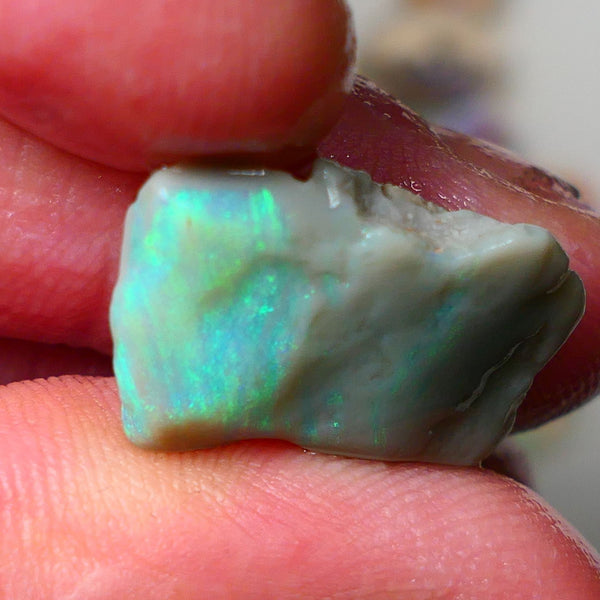 Lightning Ridge Gamble opal rough 10.00cts showing nice bright Green colours 21x14x5mm ALP138