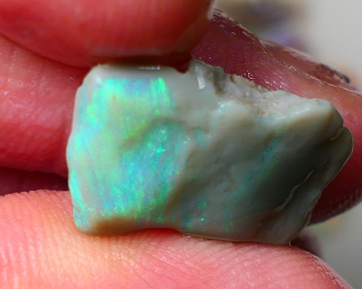 Lightning Ridge Gamble opal rough 10.00cts showing nice bright Green colours 21x14x5mm ALP138