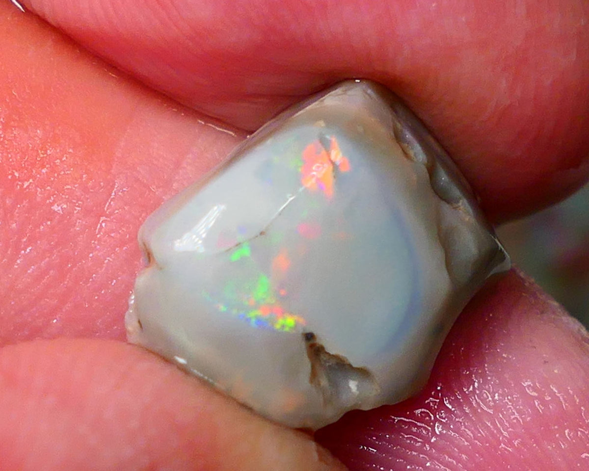 Lightning Ridge Gamble opal rough rub 7.50cts showing nice bright Multi colours 15x12x7mm ALP143