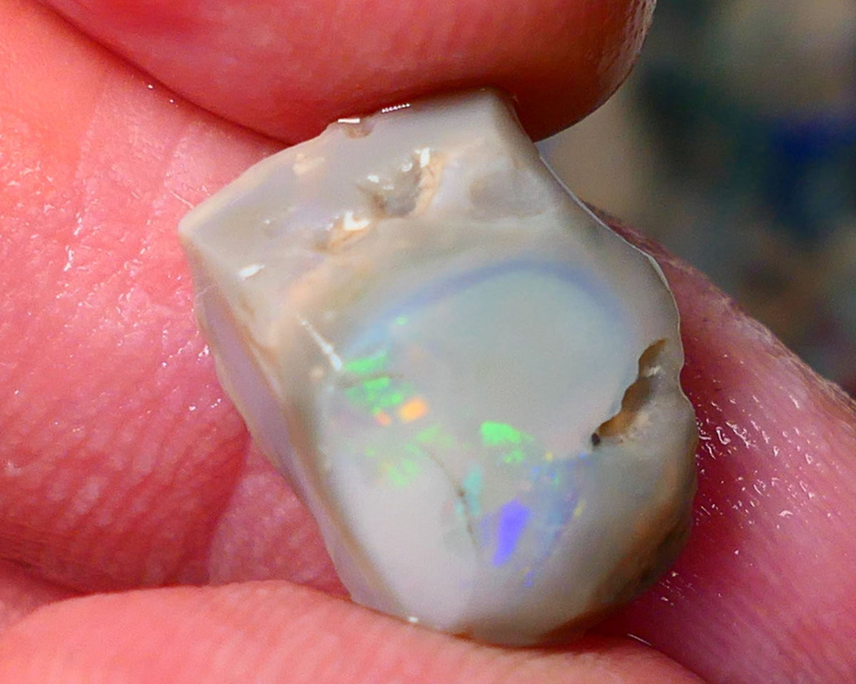 Lightning Ridge Gamble opal rough rub 7.50cts showing nice bright Multi colours 15x12x7mm ALP143