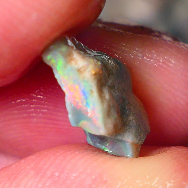 Lightning Ridge Small Cutters Seam opal rough 3.00cts showing Lovely bright Reds/Orange/Yellow 14x9x4mm ALP156