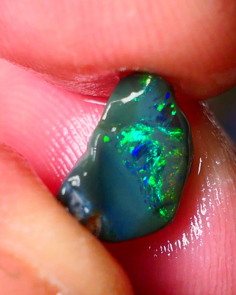 Lightning Ridge small Black opal rub rough Displaying bright Multi colours 11x7x4mm ALP151