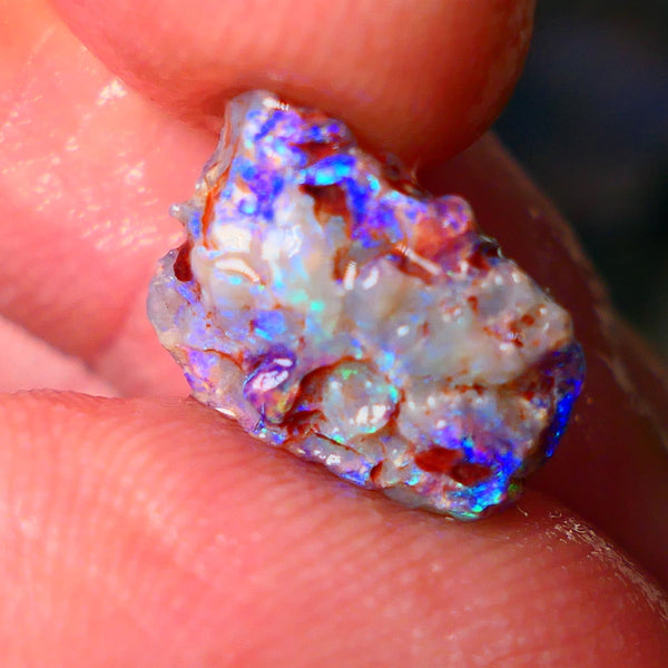 Lightning Ridge Gamble opal rough showing nice bright colours details to come cts ALP1xx