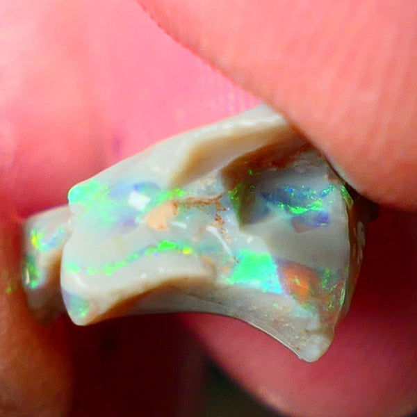 Lightning Ridge Gamble opal rough 4.50cts showing Very bright Multi colours 16x14x8mm ALP148